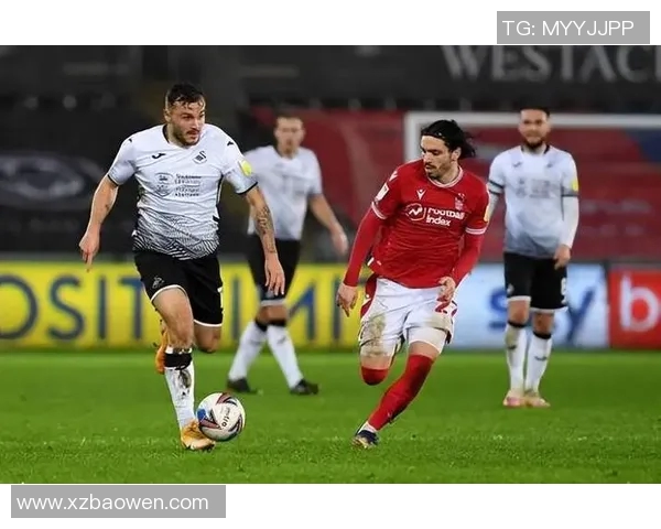 布莱顿主场迎战沃特福德期待精彩对决双方争夺英超宝贵积分